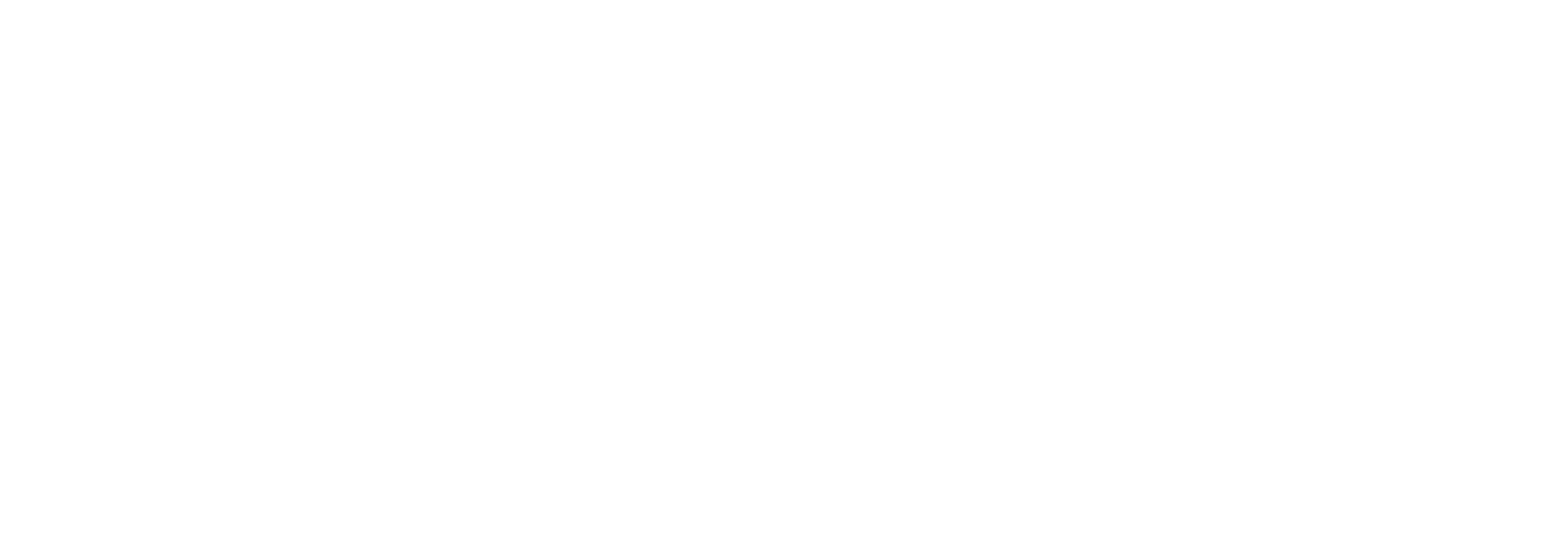 FansWiFi logo